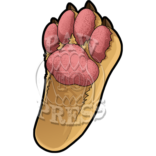 3" Andy Footpaw Sticker