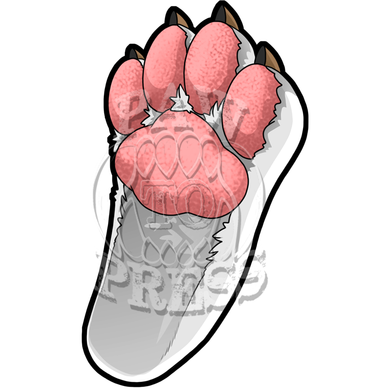 3" Emery (Waldren) Footpaw Sticker